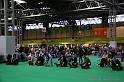 Crufts2011_2 779